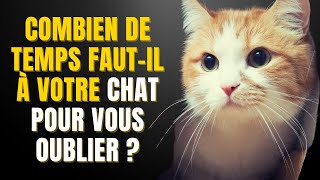 LA MÉMOIRE DES CHATS EXPLIQUÉE