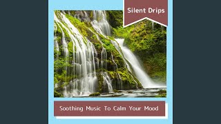 The Alluring Rhythm