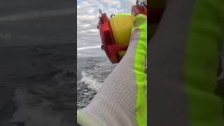 Looking back at last years albacore tuna fishing!  What a rush!