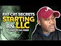 Fat Cat Secrets How LLC's make you Bank- Stuff Your Lawyer Will Never Tell You