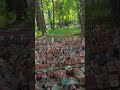Светлогорск. Калининградская область. Май 2024 год