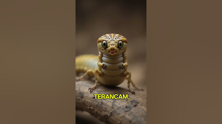 Ulat Ini Bisa Menyamar Jadi Ular? Serius! #UlatMenyamar #FaktaHewan #KamuflaseHewan #HewanUnik #Ulat