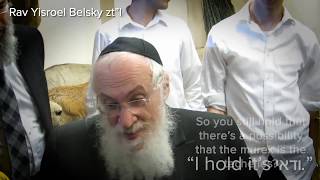 Rabbi Yisroel Belsky Ztl - Murex Is Vadai - Techeiles