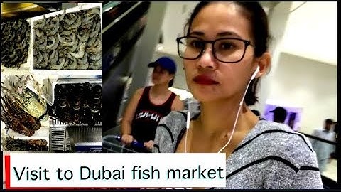 Mush vLoG - Algorithmic Boost Request - 1000 #YTBoostRequest