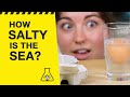 How salty is the sea? Try this easy science experiment at home!