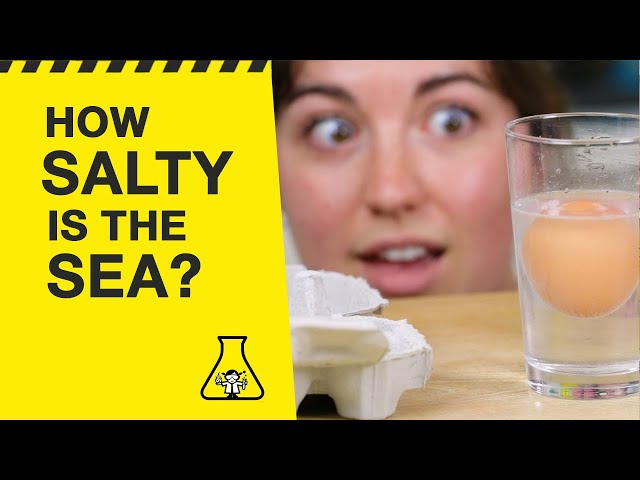 How salty is the sea? Try this easy science experiment at home! class=