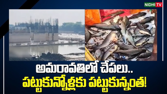 hq720.jpg?sqp=-oaymwEhCK4FEIIDSFryq4qpAx