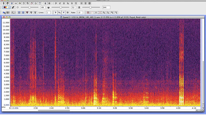 Andrea Dahl Cropping Gentoo Penguin Calls Screencast
