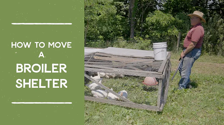 How to Move a Broiler Shelter (AKA Chicken Tractor) | Joel Salatin