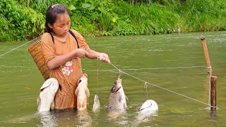 Download Lagu Primitive fishing techniques, Setting a stream fish trap, highland girl caught 20kg of fish to sell MP3 Download Lagu Primitive fishing techniques, Setting a stream fish trap, highland girl caught 20kg of fish to sell MP3