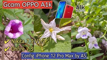 Gcam Oppo A1k Terbaru || Gcam Nikita 7.3 V1.7 & Gcam Onfire 7.3