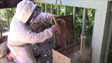 How to: Frame Loose Comb with Rubber Bands with Solomon Parker