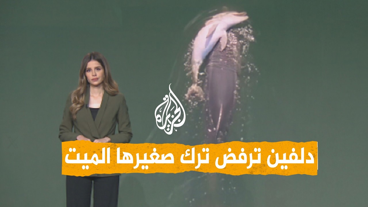 ����� | ���� ���� ���� �� ����� ������� �� ��� ������
 - نشر قبل 9 دقيقة
