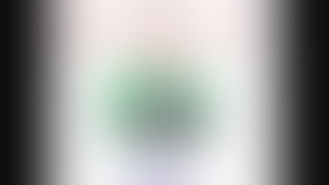 InBox Blueprint CPA 2014 Review | InBox Blueprint CPA 2014 - Is is For YOU? Find Out!