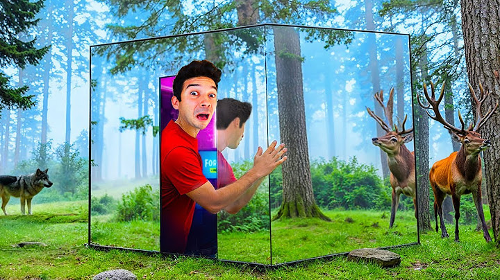 HO COSTRUITO UNA STANZA SEGRETA INVISIBILE NELLA FORESTA! 🤫