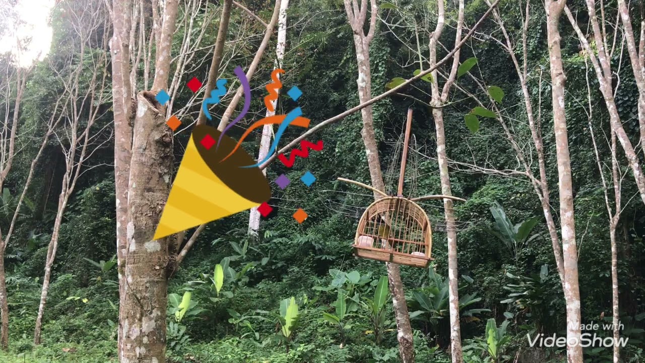 ต่อนกกรงกรงหัวถ่าน