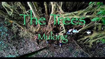 The Trees