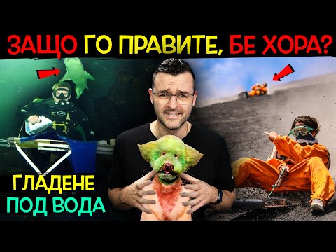 Видео: 17 пъти това беше, когато случайно сте стъпили на кучето си