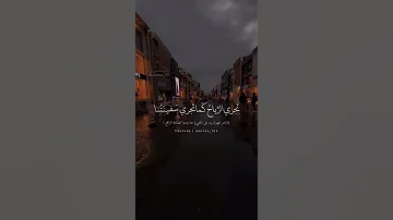 ماكل ما يشتهي المرء يدركه من أبيات أبو الطيب المتنبي 