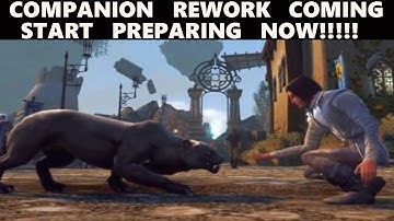 Neverwinter - New Rework Coming To All Companions