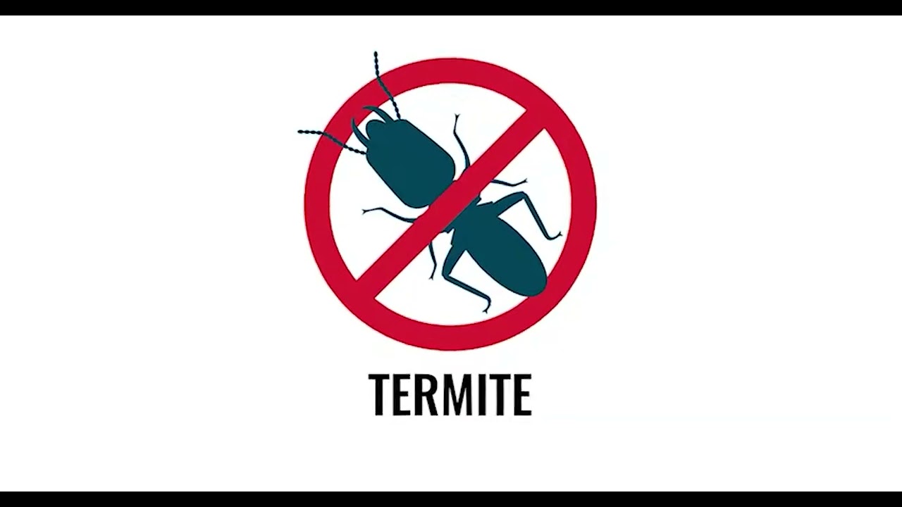 CBRI - Central Building Research Institute | Council of Scientific and Industrial Research