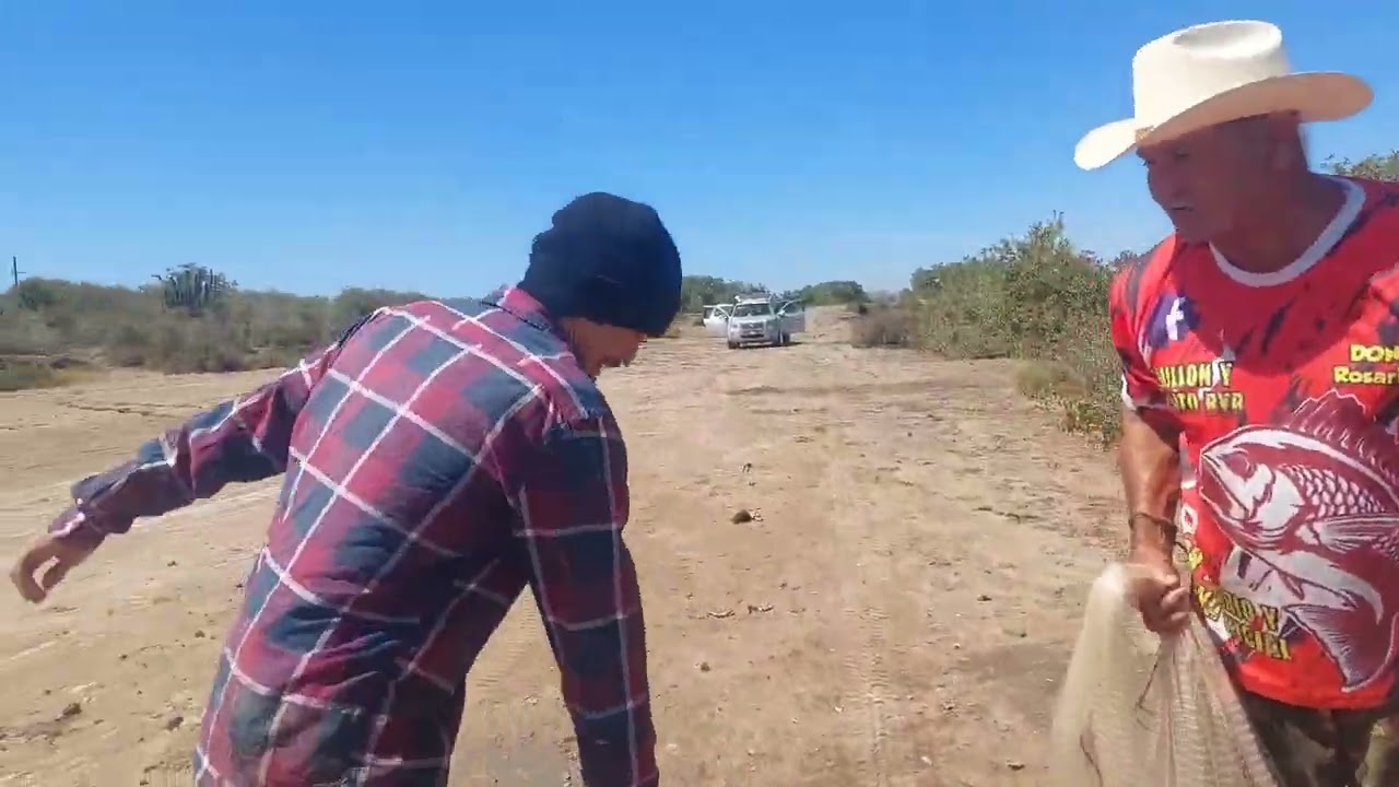 Hoy nos fue muy bien en la pesca y vean todo lo que pescamos