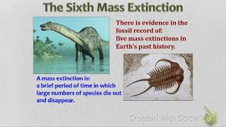 Lecture 1 Part 1 Intro to Ecology