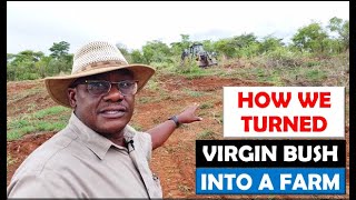 Farming in Zambia: The Advantages of Using Machinery to Turn Virgin Bush into Farm Land for Planting