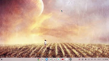 Lenovo Flex 5 Chromebook : How to remove an app or item from wishlist in Google Play Store App