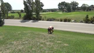 Aram Tricking Summer 2011