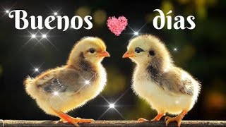 💕Buenos días 🌞Que tu día esté lleno de bendiciones.💝Video corto y bonito.🌺