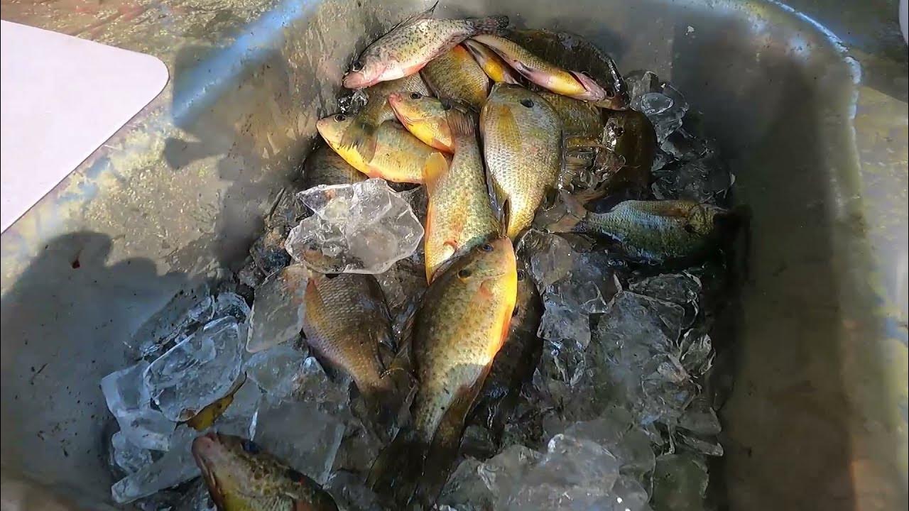 COOKING WITH AARON AND ROBERT FISH FRY ON A 140 YEAR OLD FARM HOW