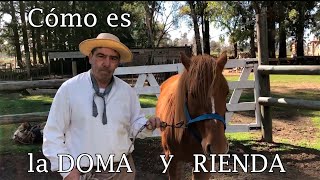 Cómo es la DOMA Y RIENDA