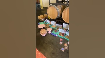 Stop feeling overwhelmed as a creative with these steps!