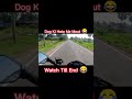 Dog Hato Me Mout 😂 #motovlog
