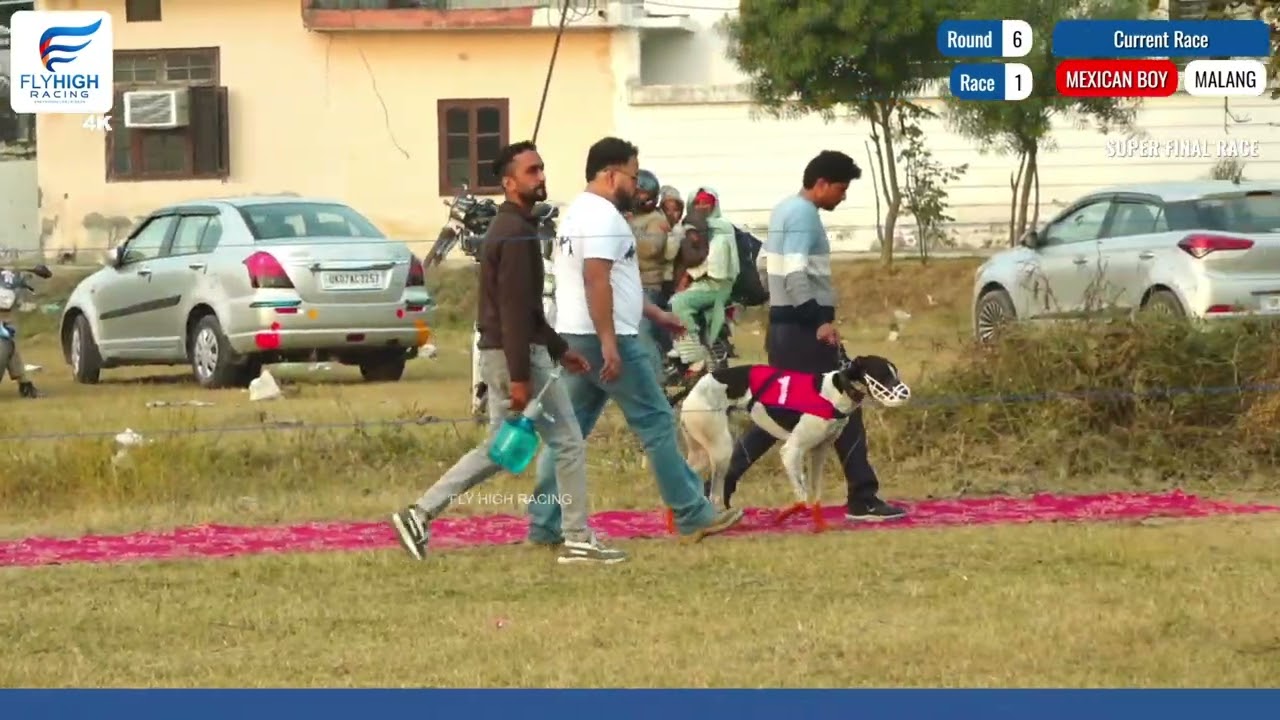 Final Race | Mexican Boy (v/s) Malang