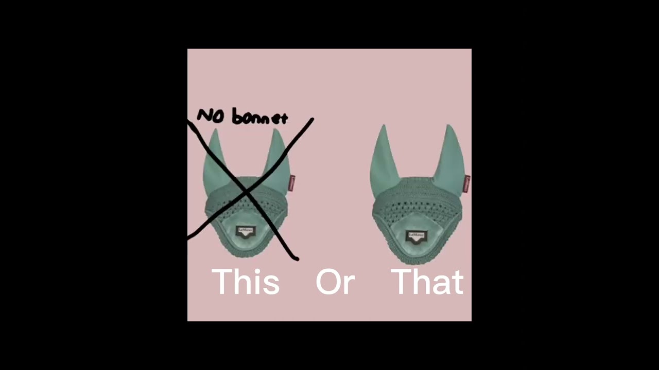 This or that! (Equestrian edition)