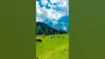 سبحان الله وبحمده سبحان الله العظيم #قرآن كريم #اكسبلور#النظافه#الرحمن #راحة_نفسية#استخدموا الصوت 10