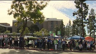 Celebrity Nurses at Kaiser Permanente hospitals in San Diego County begin strike | NBC 7 San Diego Profile