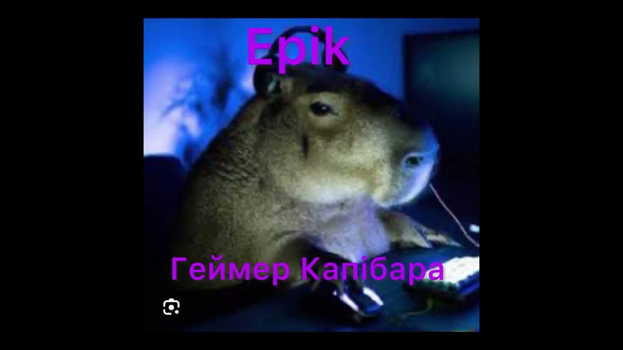 Кейс капібара 2 - YouTube