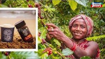 Premier prijst Koraput-koffie ll Jehowah News