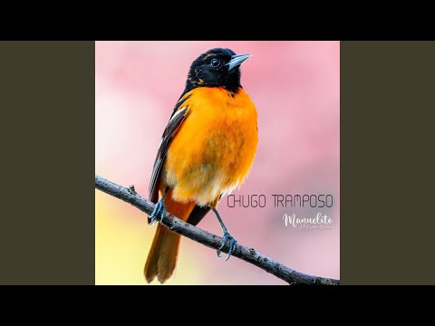 Chugo Tramposo