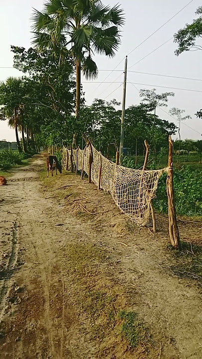 https://vm.tiktok.com/ZSkHeyPQQ/ This post is shared via TikTok Lite. Download TikTok Lite to enjoyo