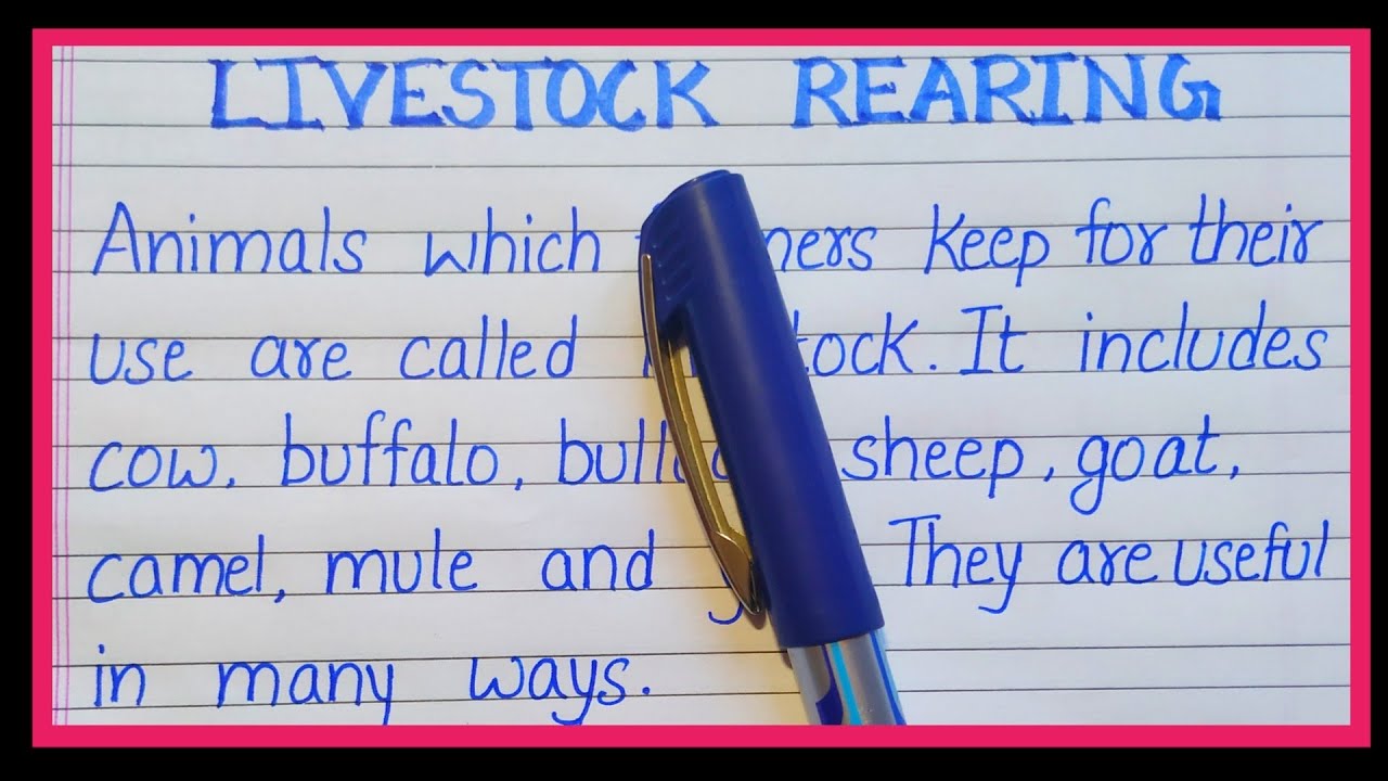What is Livestock Rearing | Definition of Livestock - YouTube