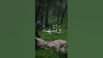 "آيات تريح القلب وتبعث الطمأنينة | استمع بخشوع" #القرآن_الكريم #تلاوة_خاشعة
