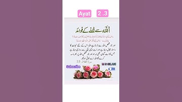 Surah Al talaq ayat 2-3 urdu tarjuma| quran translation