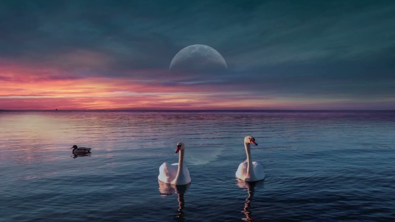 Watch Relaxing Sleep Music • Deep Sleeping Music, Relaxing Music, Stress Relief, Meditation Music on YouTube Watch Relaxing Sleep Music • Deep Sleeping Music, Relaxing Music, Stress Relief, Meditation Music on YouTube
