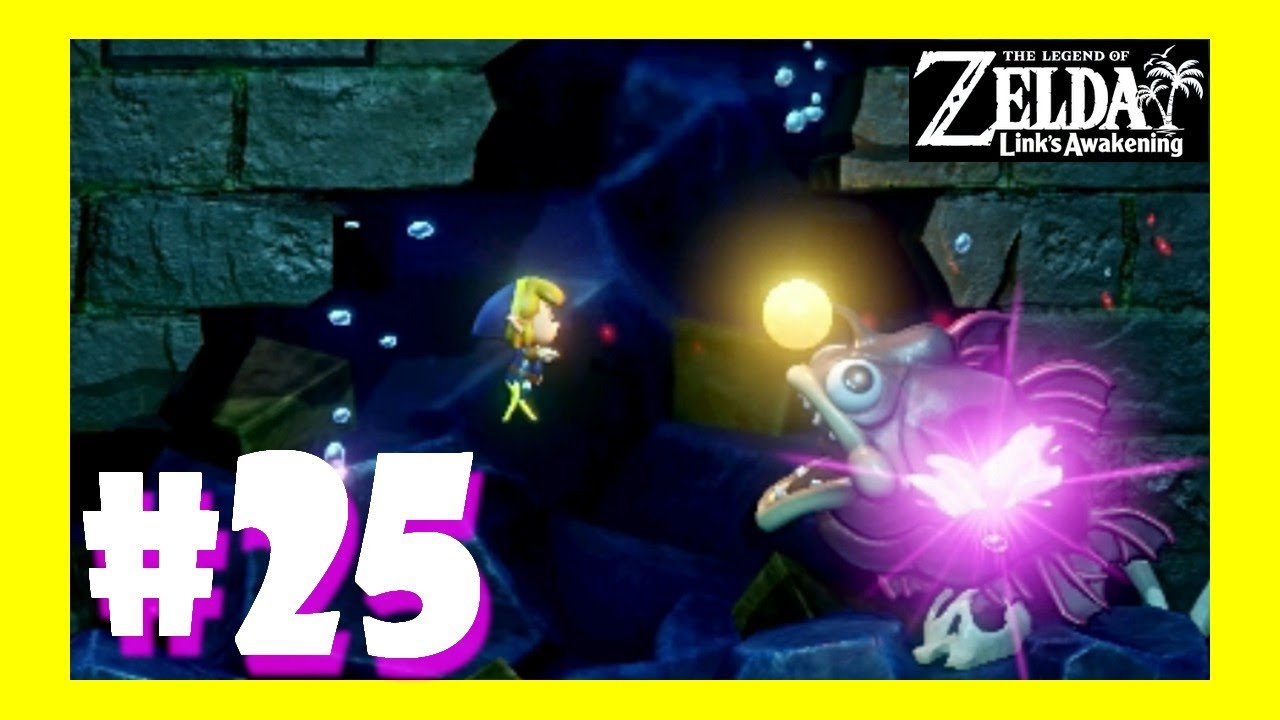 ZELDA LINK S AWAKENING WALKTHROUGH GAMEPLAY Damp s Shack CHALLENGE 7 TREASURE VAULT YouTube zelda-link-s-awakening-walkthrough-gameplay-damp-s-shack-challenge-7-treasure-vault-youtube