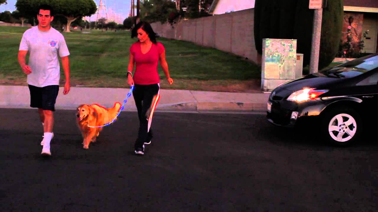 LightedLeash LED Lighted Leash Commercial