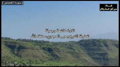 أجمل تلاوة سورة القصص لشيخ الفاضل ابي عبدالرحمن يحيي بن علي الحجوري